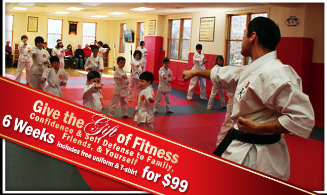 KI Martial Arts - 6 Weeks for $99!