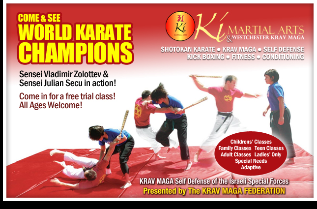 KI Martial Arts - Come & See! KI Martial Arts