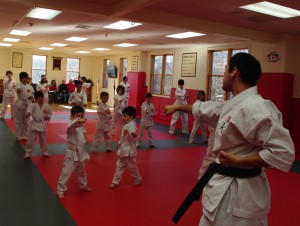Ki Martial Arts Karate Tuckahoe Group Punch