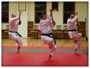 KI Martial Arts - Sensei Vladimir & Team