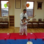 KI Martial Arts USA Birthday Party