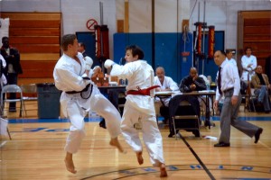 Vladimir Zolottev WTKO, 2008 Kumite