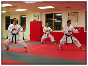 KI Martial Arts - Sensei Vladimir & Team
