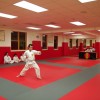 KI Martial Arts USA - Karate Classes KI Martial Arts USA - Karate Classes