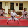 KI Martial Arts - Sensei Vladimir & Team KI Martial Arts - Sensei Vladimir & Team