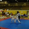 Japan Karate-Do International Tournament March, 2010 KI Martial Arts 10 Year Old Child Kumite